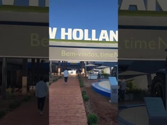 Новая Голландия